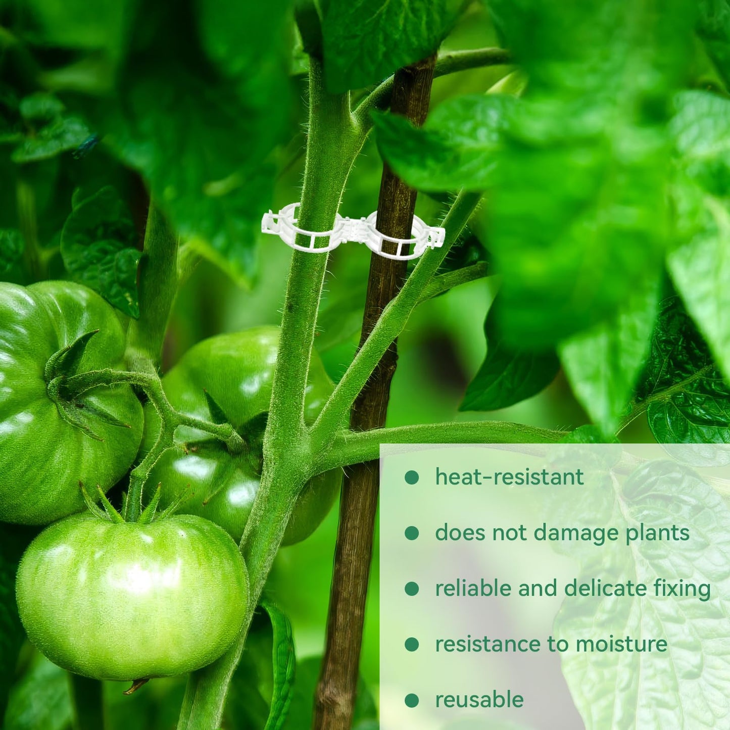 🔥🔥Last Day Sale Tomato Clips, Plastic Trellis Clips